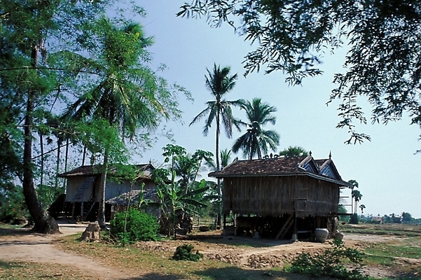 포토 JPG 나무 해외풍경 해외 시설물 현대건축 건축 자연 주택 풍경 사람없음 시골 산골 국내포토 식물 건축물 건물 생태계 파일형식