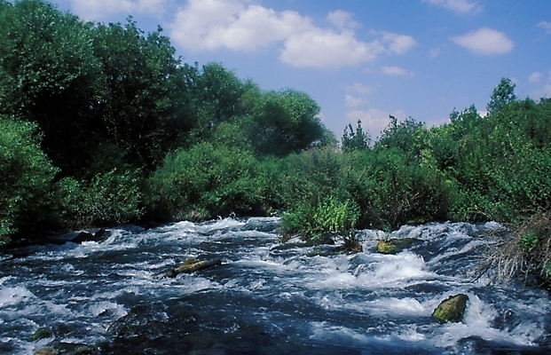 포토 JPG 해외풍경 외국문화 자연 산 풍경 사람없음 계곡 급류 숲 이스라엘 국내포토 해외 문화 생태계 서아시아 파일형식