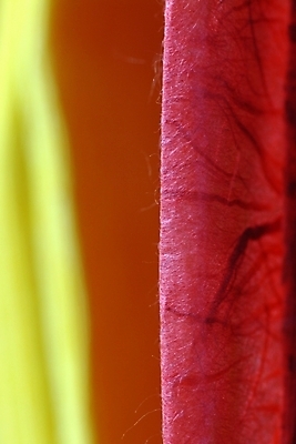 포토 JPG 종이 백그라운드 포장 근접촬영 사람없음 포장지 한지 오브젝트 색지 국내포토 뷰포인트 파일형식