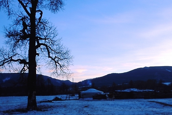 포토 JPG 주간 나무 해외풍경 사계절 계절 아시아 외국문화 설경 겨울 자연 풍경 초원 사람없음 야외 눈 몽골 국내포토 자연요소 식물 해외 나라 문화 날씨 생태계 파일형식