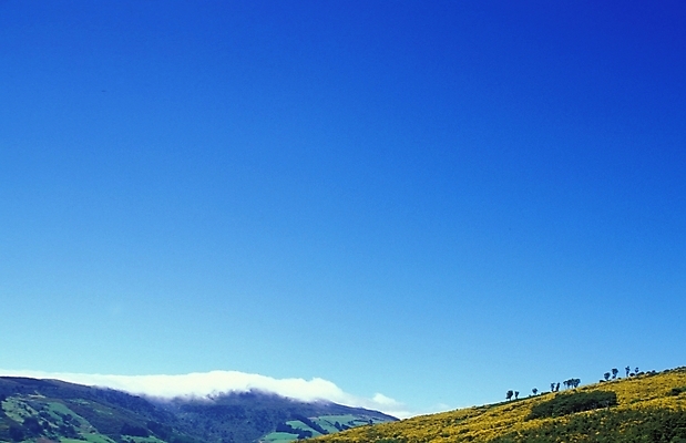 포토 JPG 주간 해외풍경 외국문화 자연 하늘 산 풍경 초원 사람없음 야외 오세아니아 언덕 뉴질랜드 고산지대 국내포토 자연요소 해외 나라 문화 생태계 파일형식