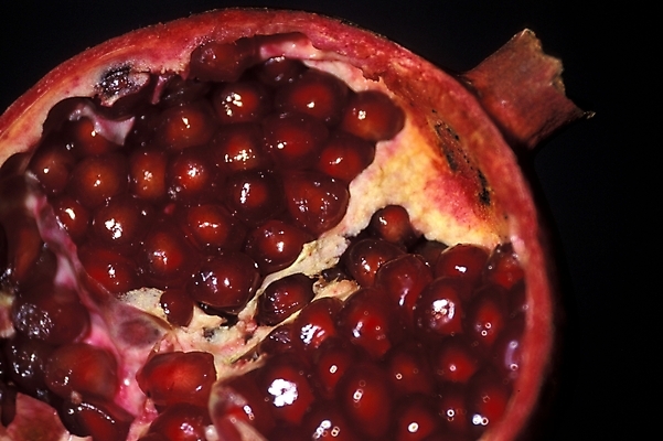 포토 JPG 식물 열매 음식 백그라운드 과일 근접촬영 사람없음 농작물 석류 석류알 국내포토 뷰포인트 농업 파일형식