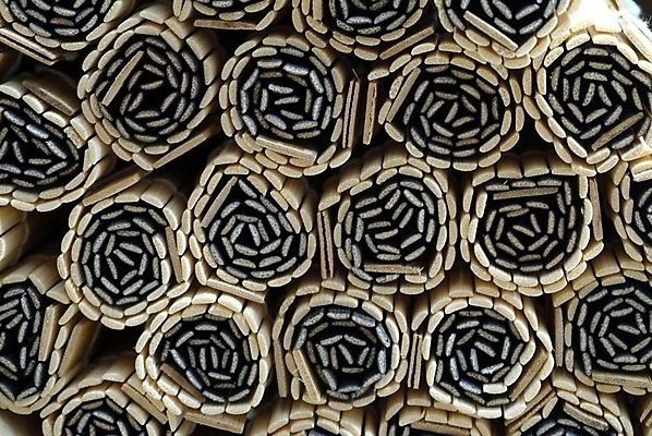 포토 JPG 생활용품 백그라운드 사람없음 블라인드 커튼 오브젝트 김발 국내포토 파일형식