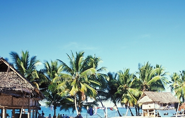 포토 JPG 주간 나무 식물 해외풍경 외국문화 배경화면 백그라운드 자연 풍경 사람없음 야외 야자수 오세아니아 오두막 휴양지 파푸아뉴기니 국내포토 자연요소 해외 나라 문화 장소 생태계 파일형식