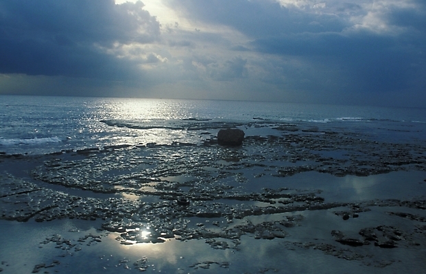 포토 JPG 주간 구름 해외풍경 바다 외국문화 백그라운드 농업 자연 하늘 논 풍경 해변 사람없음 야외 갯벌 레바논 국내포토 자연요소 해외 산업 문화 중동 생태계 파일형식