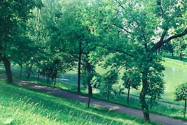 포토 JPG 주간 나무 식물 해외풍경 해외 웰빙 공원 유럽 길 호수 외국문화 자연 풍경 사람없음 야외 산책로 연못 숲 러시아 삼림욕 국내포토 자연요소 공공시설 나라 문화 생태계 파일형식