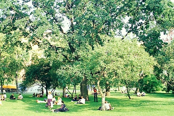 포토 JPG 주간 나무 식물 해외풍경 웰빙 공원 유럽 외국문화 자연 휴식 풍경 잔디 사람없음 야외 정원 도시 숲 러시아 국내포토 자연요소 해외 공공시설 나라 문화 컨셉 생태계 파일형식