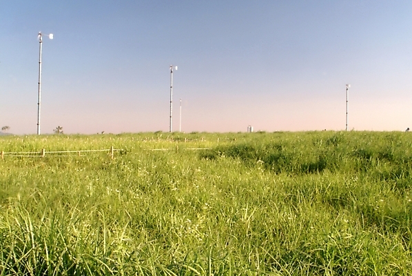 포토 JPG 주간 식물 시설물 현대건축 건축 자연 풍경 초원 사람없음 야외 풍차 풀 풍력발전소 윈드터빈 국내포토 자연요소 건축물 발전기 발전소 풍력에너지 생태계 파일형식