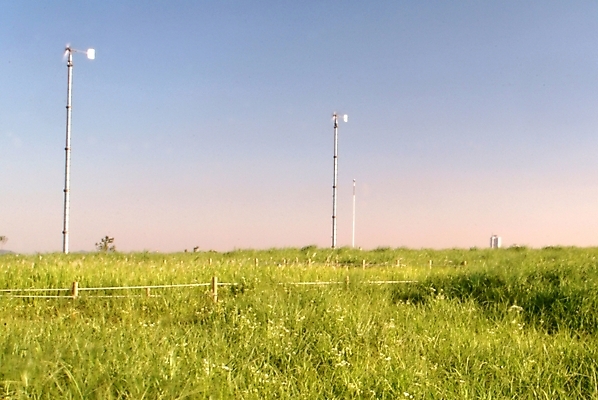 포토 JPG 주간 식물 시설물 현대건축 건축 자연 풍경 초원 사람없음 야외 풍차 풀 풍력발전소 윈드터빈 국내포토 자연요소 건축물 발전기 발전소 풍력에너지 생태계 파일형식