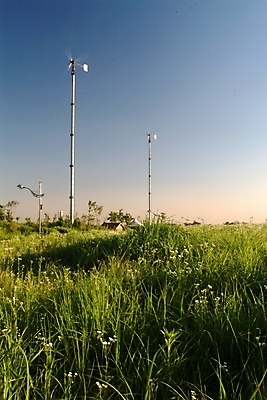 포토 JPG 주간 식물 시설물 현대건축 건축 자연 풍경 초원 사람없음 야외 풍차 에너지 풀 풍력발전소 윈드터빈 국내포토 자연요소 건축물 발전기 발전소 풍력에너지 생태계 파일형식