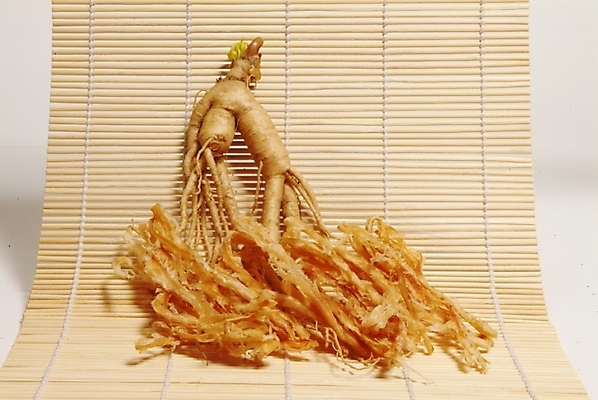 포토 JPG 스튜디오촬영 음식 의학 사람없음 치료 약 한의학 약재 한약재 인삼 약초 한약 안주 중복 김발 보양식품 삼복 국내포토 실내 풀_식물 복날 삼 건강식품 파일형식