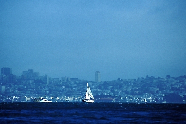 포토 JPG 주간 해외풍경 해외 바다 외국문화 교통 수상교통 북아메리카 요트 자연 하늘 아메리카 풍경 사람없음 야외 미국 도시 빌딩숲 샌프란시스코 선박 국내포토 자연요소 문화 교통수단 배_교통 빌딩 대륙 생태계 파일형식