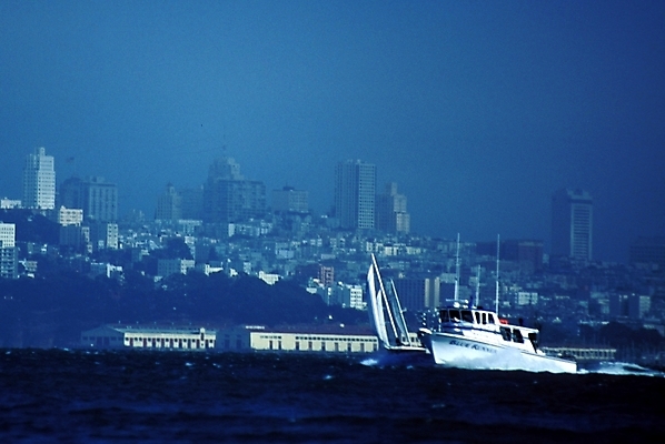 포토 JPG 주간 해외풍경 해외 바다 외국문화 교통 수상교통 북아메리카 자연 하늘 아메리카 풍경 사람없음 야외 미국 도시 유람선 크루즈 빌딩숲 샌프란시스코 선박 국내포토 자연요소 문화 교통수단 배_교통 빌딩 대륙 생태계 파일형식