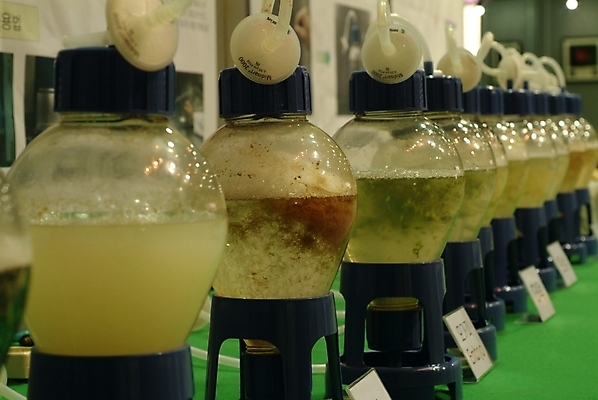 포토 JPG 의학 의료기기 사람없음 치료 기계 한의학 의료용품 제조 한약 오브젝트 약탕기 한방용품 국내포토 주방용품 약 파일형식