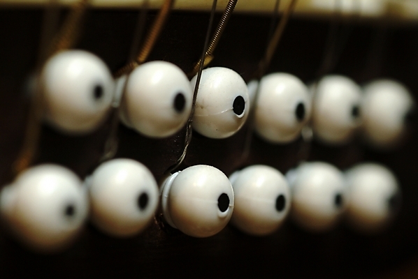 포토 JPG 악기 음악 현악기 근접촬영 사람없음 기타 기타줄 국내포토 줄 뷰포인트 문화예술 파일형식