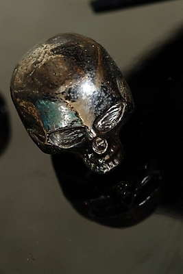 포토 JPG 뼈 해골 사람없음 장식 금속 장기 근골격기관 오브젝트 국내포토 신체 재질 장기_의학 파일형식