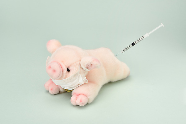 포토 JPG 스튜디오촬영 인형 실내 건강 주사기 마스크 사람없음 건강관리 바이러스 오브젝트 예방 돼지인형 면역력 민트색 백신 예방접종 전염병 콜레라 부스터샷 국내포토 컬러 의학 의료기기 관리 내부 질병 접종 파일형식