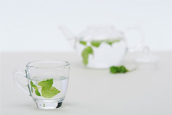 포토 JPG 스튜디오촬영 재료 잔 실내 건강 사람없음 건강관리 바이러스 차 감기 오브젝트 흰배경 예방 천연 면역력 전염병 페퍼민트 환절기 국내포토 식기 계절 음료 백그라운드 관리 내부 흰색 질병 민트 파일형식