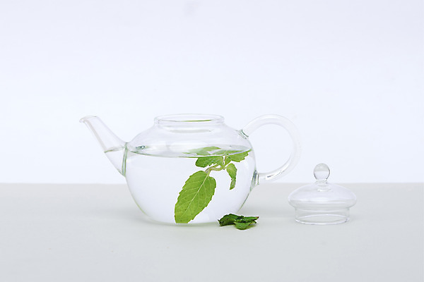 포토 JPG 스튜디오촬영 재료 실내 건강 사람없음 건강관리 바이러스 차 찻주전자 감기 오브젝트 흰배경 예방 천연 면역력 전염병 페퍼민트 환절기 국내포토 계절 음료 백그라운드 주전자 관리 내부 흰색 질병 민트 파일형식