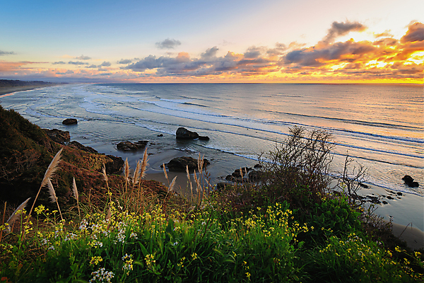 포토 JPG 해외이미지 구름 파도 바다 섬 백그라운드 오렌지 자연 하늘 아침 산 풍경 사람없음 야외 물 여름 파란색 햇빛 태양 반사 일출 보라색 침묵 일몰 수확 오픈 황금 건초더미 저녁 캘리포니아 태평양 대포 넘어짐 수평선 해외포토 주간 자연요소 계절 무기 컬러 농업 과일 모션 노을 미국 소리 건초 야간 생태계 파일형식 더미 이미지허브