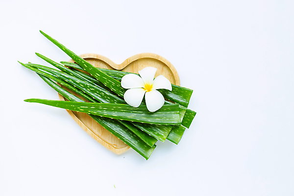 포토 JPG 해외이미지 스튜디오촬영 꽃 실내 사람없음 흰배경 나무접시 알로에 하트접시 해외포토 식물 접시 백그라운드 내부 흰색 파일형식 이미지허브
