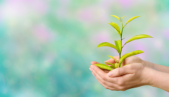 포토 JPG 해외이미지 나무 식물 손 지구 잎 농업 관계 상상 자연 안전 사람없음 초록색 약 평화 일출 환경 화목 힘 봄 성장 신선 잡기 보호 숲 에코 친환경 생태계 원예 기회 자연백그라운드 개발 돌봄 바이오 지구의날 처음 철학 세련 해외포토 계절 교육 기념일 산업 컬러 백그라운드 컨셉 의학 모션 취미 신체부위 노을 파일형식 이미지허브