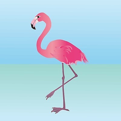 EPS 해외이미지 동물 유럽 아시아 호수 야생동물 바다 분홍색 일러스트 아프리카 자연 조류 동물원 물 컬러풀 반사 미국 거울 젖음 습지 먹기 깃털 부리 물새 이국적 해외일러스트 자연요소 나라 컬러 북아메리카 모션 생태계 파일형식 벡터 이미지허브