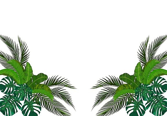 EPS 해외이미지 나무 식물 디자인 섬 백그라운드 잎 패턴 일러스트 자연 벽지 손바닥 미술 장식 초록색 여름 컬러풀 유행 정원 봄 수확 가을 흰색 나뭇가지 직물 인쇄 그림 질감 하와이 캘리포니아 브라질 아열대 이국적 인기 파스텔톤 해외일러스트 손 계절 컬러 무늬 농업 문화예술 미국 남아메리카 생태계 파일형식 벡터 이미지허브