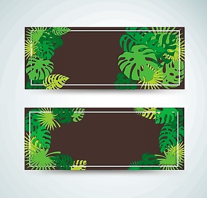 EPS 해외이미지 나무 식물 템플릿 디자인 배너 꽃 결혼 백그라운드 잎 꽃무늬 패턴 일러스트 비즈니스 자연 추상 휴가 프레임 손바닥 미술 그래픽 장식 초록색 세트 정원 봄 수확 인사 신용카드 숲 인쇄 그림 정사각형 하와이 초대 내추럴 고립 이국적 스타일 해외일러스트 도형 손 계절 컬러 무늬 농업 문화예술 이벤트 금융 미국 예절 생태계 파일형식 벡터 이미지허브