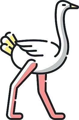 EPS 해외이미지 일러스트 사람없음 귀여움 흰색 플랫 타조 해외일러스트 컬러 컨셉 조류 파일형식 벡터 이미지허브