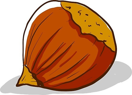 EPS 해외이미지 디자인 음식 백그라운드 일러스트 재료 자연 건강 씨앗 갈색 견과류 껍질 흰색 플랫 맛 먹기 오브젝트 싱글 유기농 내추럴 개암나무 고립 숙성 식용 채식주의자 스타일 개암 해외일러스트 나무 식물 웰빙 열매 컬러 컨셉 모션 생태계 채식 파일형식 벡터 이미지허브