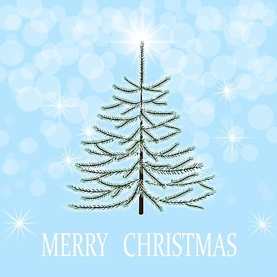 EPS 해외이미지 나무 식물 전통 디자인 실루엣 백그라운드 크리스마스 일러스트 자연 휴가 새로움 새해 기념 프레임 장식 파란색 장난감 축제 공백 나뭇가지 축하 인사 소나무 신용카드 떨어짐 연도 심볼 뼈대 상록수 침엽수 고립 가문비나무 현실 해외일러스트 기념일 컬러 컨셉 촬영기법 금융 예절 생태계 파일형식 벡터 이미지허브
