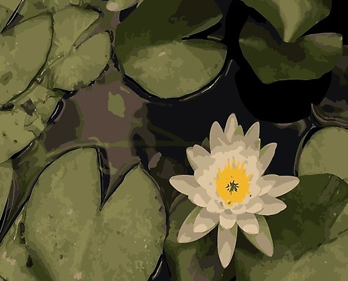 EPS 해외이미지 식물 디자인 꽃잎 꽃 호수 야생동물 분홍색 백그라운드 잎 꽃무늬 일러스트 자연 표면 연꽃 미술 야외 장식 초록색 물 여름 파란색 반사 정원 봄 벚꽃 흰색 연못 개화 백합 심볼 생물학 내추럴 고립 해외일러스트 자연요소 동물 계절 교육 컬러 무늬 문화예술 생태계 파일형식 벡터 이미지허브