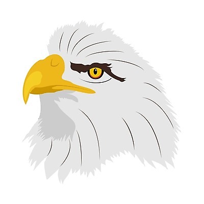 EPS 해외이미지 동물 1 야생동물 스포츠 백그라운드 컨셉 스티커 일러스트 조류 종류 머리 미국 힘 자유 흰색 황금 먹이 문신 깃털 부리 독수리 육식동물 대머리 멸종 애국심 7월 고립 마스코트 전국 정치 해외일러스트 헤어스타일 컬러 북아메리카 신체부위 날짜 파일형식 벡터 이미지허브