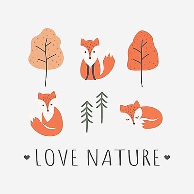 EPS 해외이미지 나무 동물 템플릿 캐릭터 디자인 어린이 티셔츠 오렌지 일러스트 텍스트 자연 사랑 빨간색 컬러풀 가을 아기 소나무 만화 여우 슬로건 레터링 해외일러스트 일러캐릭터 식물 계절 감정 컬러 셔츠 과일 포유류 사람 생태계 파일형식 벡터 이미지허브