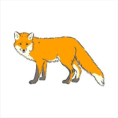 EPS 해외이미지 동물 척추동물 1 디자인 응시 유럽 야생동물 캐나다 일러스트 포유류 자연 잉글랜드 생물 동물원 서기 목재 그래픽 가로 빨간색 환경 숲 먹이 만화 대륙 호기심 싱글 여우 육식동물 송곳니 고립 동물상 복종 수목 시베리아 혼자 스타일 해외일러스트 나무 시선 감정 나라 컬러 컨셉 북아메리카 재료 모션 영국 조형물 치아 생태계 파일형식 벡터 이미지허브