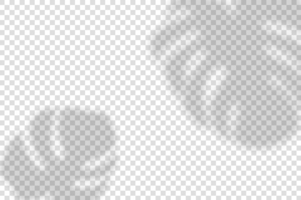 EPS 해외이미지 잎 일러스트 그림자 사람없음 그늘 몬스테라 블러 블러효과 해외일러스트 식물 파일형식 벡터 효과 이미지허브