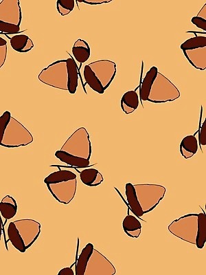 EPS 해외이미지 계절 포스터 백그라운드 잎 패턴 일러스트 미술 낙서 인쇄 그림 도토리 해외일러스트 식물 무늬 문화예술 견과류 파일형식 벡터 이미지허브