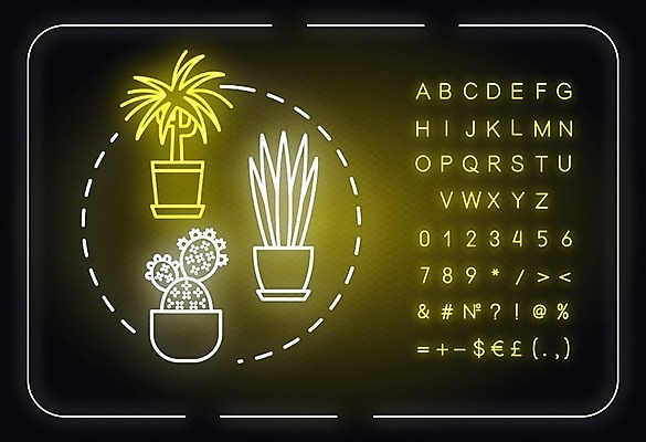 EPS 해외이미지 화분 잎 일러스트 선인장 사람없음 네온 해외일러스트 식물 파일형식 벡터 이미지허브