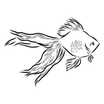 EPS 해외이미지 동물 손 디자인 실루엣 바다 백그라운드 오렌지 일러스트 자연 흑백 어류 미술 그래픽 물 반려동물 검은색 수중 수영 수확 그리기 사발 황금 클래식 스케치 싱글 복고 꼬리 탱크 윤곽 지느러미 수족관 판화 고립 동물상 이국적 현실 디테일 해외일러스트 자연요소 컬러 컨셉 농업 과일 모션 문화예술 촬영기법 신체부위 조형물 수중동물 수상스포츠 사기그릇 생태계 파일형식 벡터 이미지허브