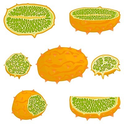 EPS 해외이미지 식물 음식 조각 과일 일러스트 부분 오이 귤 씨앗 초록색 여름 노란색 주스 껍질 신선 반지 원형 달콤 맛 상품 정상 멜론 만화 자르기 심볼 날것 날카로움 덩어리 내추럴 고립 구역 숙성 식용 이국적 개조 해외일러스트 도형 계절 음료 컬러 컨셉 채소 장신구 모션 파일형식 벡터 이미지허브