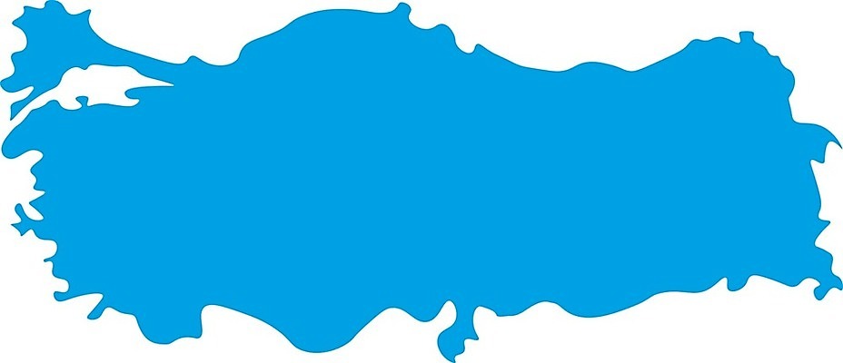 EPS 해외이미지 모양 실루엣 백그라운드 지도 일러스트 그래픽 흰색 플랫 윤곽 칠면조 고립 지도책 해외일러스트 컬러 조류 촬영기법 책 파일형식 벡터 이미지허브