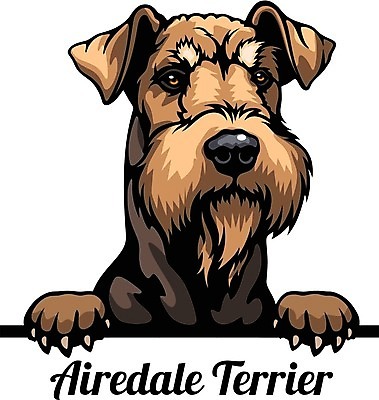 EPS 해외이미지 클립아트 동물 디자인 행복 실루엣 얼굴 새끼 일러스트 포유류 가족 발 자연 미술 미소 반려동물 머리 그리기 개 강아지 만화 수집 엿보기 심볼 사인 그림 사냥개 고립 캐리커처 해외일러스트 감정 관계 모션 문화예술 촬영기법 표정 신체부위 생태계 파일형식 벡터 이미지허브