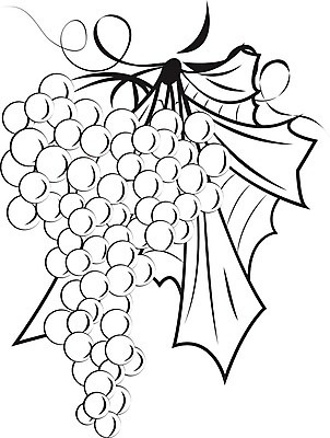 EPS 해외이미지 전통 디자인 실루엣 음료 선 음식 백그라운드 잎 농업 곡선 과일 일러스트 포도 그래픽 장식 와인 정원 검은색 나뭇가지 그리기 낙서 스케치 다발 심볼 그림 복고 윤곽 포도밭 손그림 포도나무 고립 엘리먼트 해외일러스트 나무 식물 산업 컬러 밭 모션 주류 촬영기법 미술 과일나무 파일형식 벡터 이미지허브