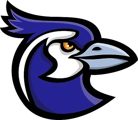 EPS 해외이미지 캐릭터 스포츠 일러스트 조류 그래픽 머리 만화 심볼 사인 복고 신분 마스코트 해외일러스트 일러캐릭터 동물 신체부위 파일형식 벡터 이미지허브