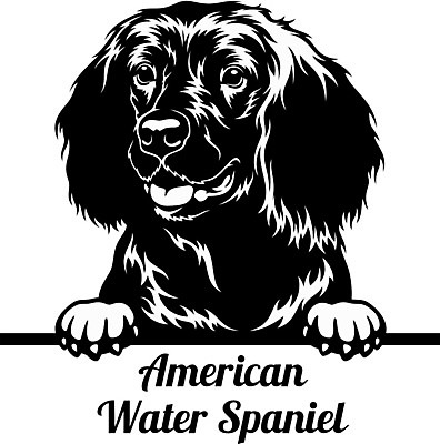 EPS 해외이미지 클립아트 동물 디자인 행복 실루엣 얼굴 새끼 일러스트 포유류 가족 발 자연 미술 미소 반려동물 머리 그리기 개 강아지 만화 수집 엿보기 심볼 사인 그림 사냥개 고립 캐리커처 해외일러스트 감정 관계 모션 문화예술 촬영기법 표정 신체부위 생태계 파일형식 벡터 이미지허브