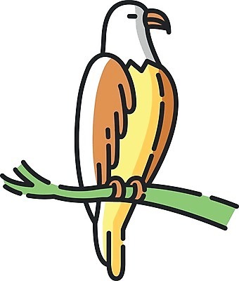 EPS 해외이미지 일러스트 사람없음 노란색 귀여움 플랫 독수리 해외일러스트 컬러 컨셉 조류 파일형식 벡터 이미지허브