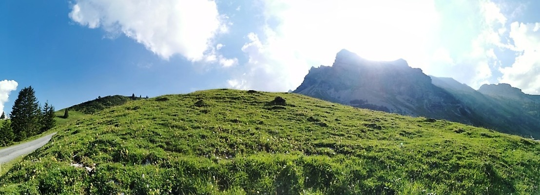 포토 JPG 해외이미지 동물 구름 전통 응시 도로 여행 자연 하늘 휴가 스키 산 주택 파노라마 풍경 사람없음 초록색 파란색 컬러풀 태양 평화 귀여움 산책 활발 다양 터치 우유 소 상품 땅 고도 스위스 그림 시력 지역 천국 방갈로 송아지 루트 바이오 방법 베른 샬레 파라다이스 해외포토 자연요소 시선 유럽 길 새끼 컬러 다수 컨셉 포유류 교통시설 숙소 겨울스포츠 휴식 유제품 촬영기법 실험기구 건물 생태계 파일형식 이미지허브