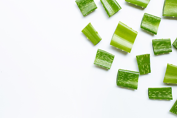 포토 JPG 해외이미지 스튜디오촬영 실내 사람없음 흰배경 알로에 해외포토 식물 백그라운드 내부 흰색 파일형식 이미지허브