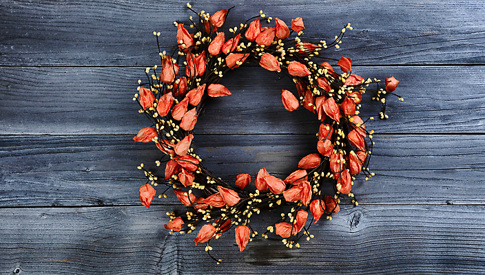 포토 JPG 해외이미지 식물 계절 꽃 백그라운드 꽃무늬 오렌지 자연 휴가 사람없음 목재 장식 화환 할로윈 수확 가을 시골 11월 머리위 추수감사절 10월 해외포토 나무 기독교 무늬 농업 과일 재료 날짜 생태계 파일형식 이미지허브